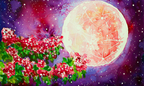 Flower-Moon-Bespoke-Prints-Cards-Somerset