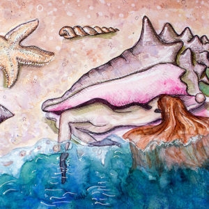 A Shells Whisper Sand, Shell Card