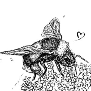 Save Our Bees Greetings Card Shop Buy